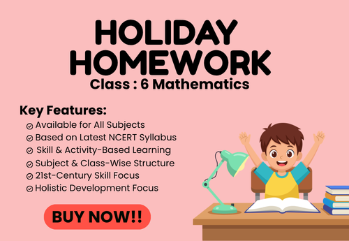 Summer Holiday Homework Class 6 Mathematics (Ganita Prakash)