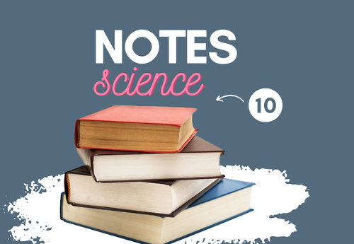Comprehensive Notes Class 10 Science All Chapters