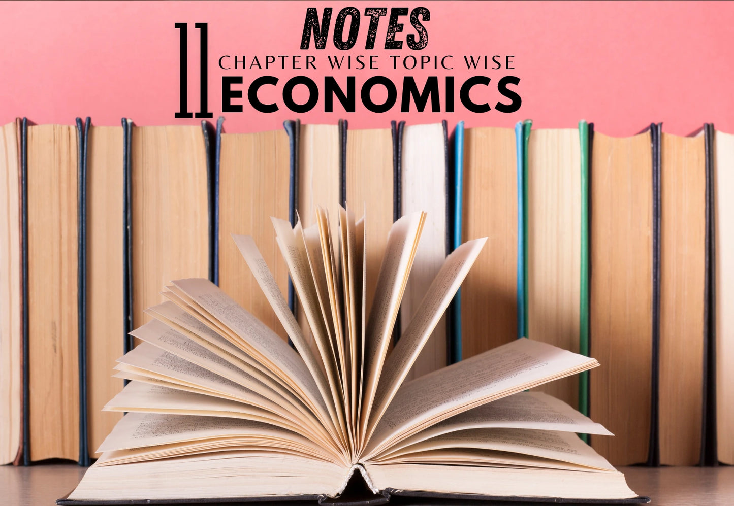 Chapter Wise Topic Wise Notes Class 11 Economics (Indian Economic Development) All Chapters