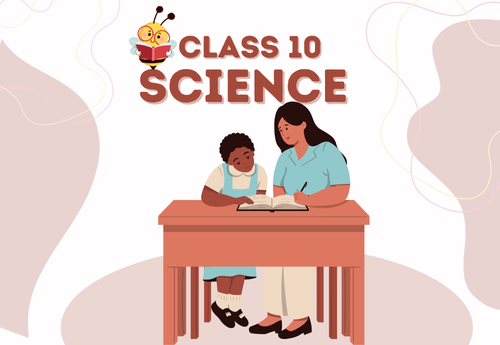 Split-Up Syllabus Class 10 Science All Chapters