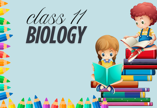Comprehensive Notes Class 11 Biology All Chapters
