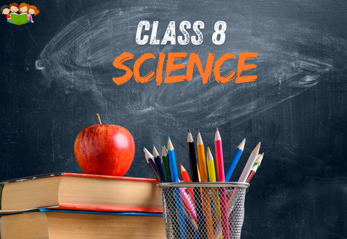 NCERT Exemplar Solutions Class 8 Science all Chapters