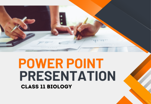 PowerPoint - Presentation Class 11 Biology All Chapters