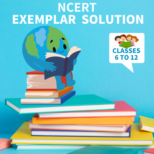NCERT Exemplar Solutions