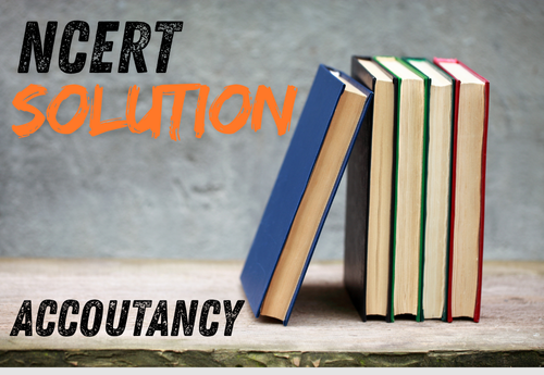 NCERT Solution Class 11 Accountancy all Chapters