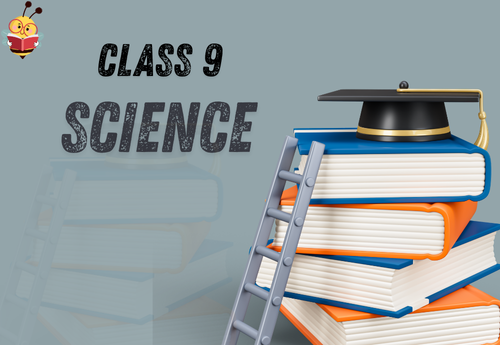 Comprehensive Notes Class 9 Science All Chapters