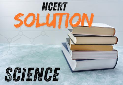 NCERT Solution Class 10 Science all Chapters