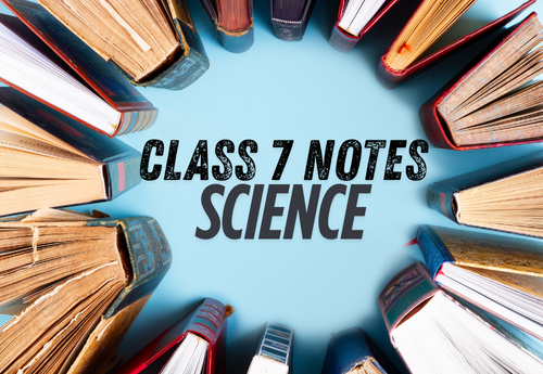 Comprehensive Notes Class 7 Science all Chapters